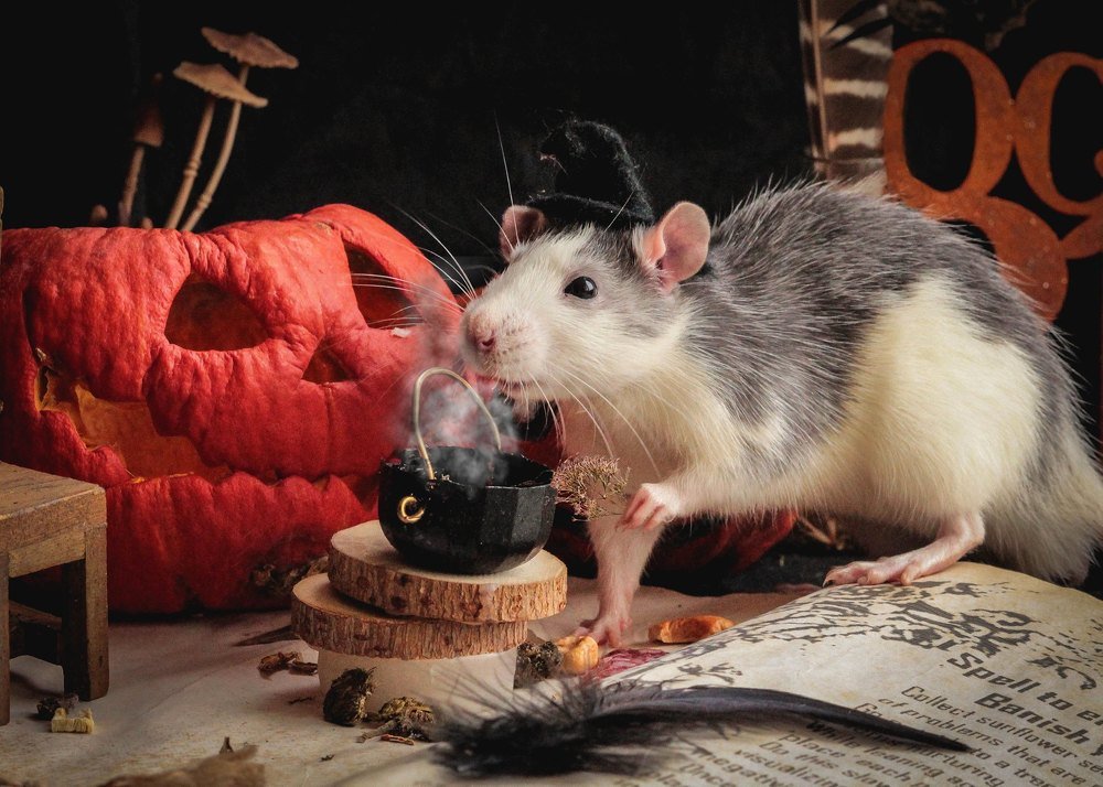 Photograph by Маргарита Федурина