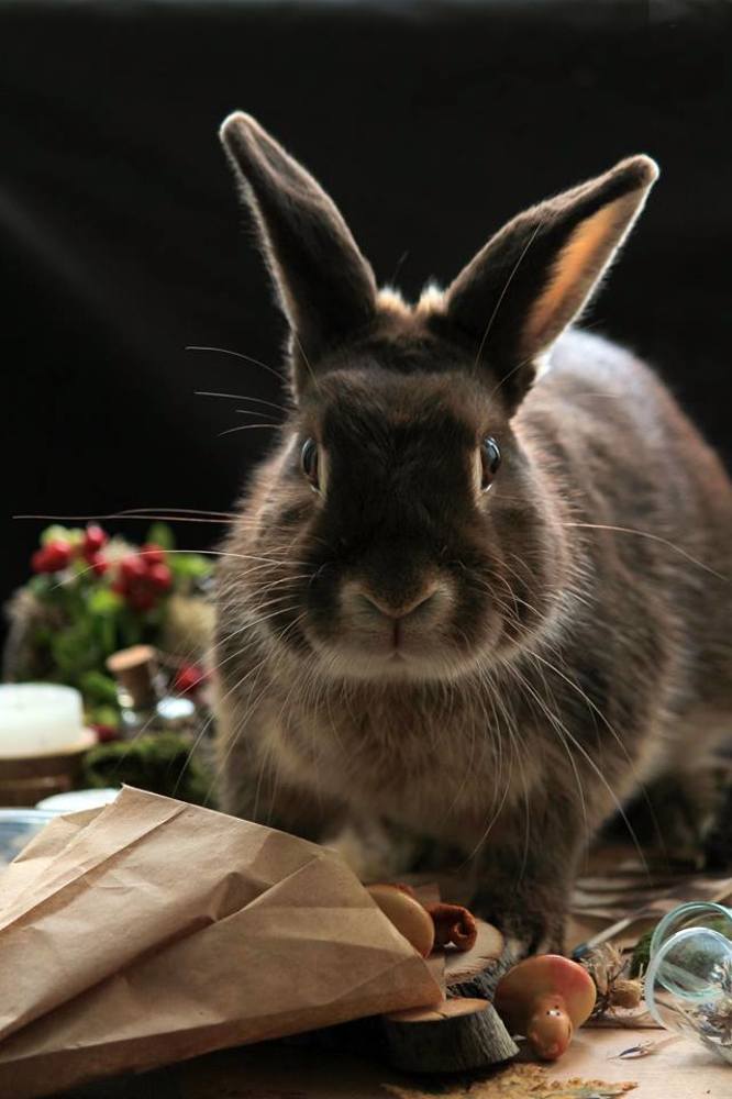 Photograph by Маргарита Федурина