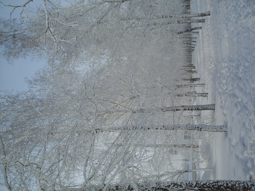 Photograph by Галина