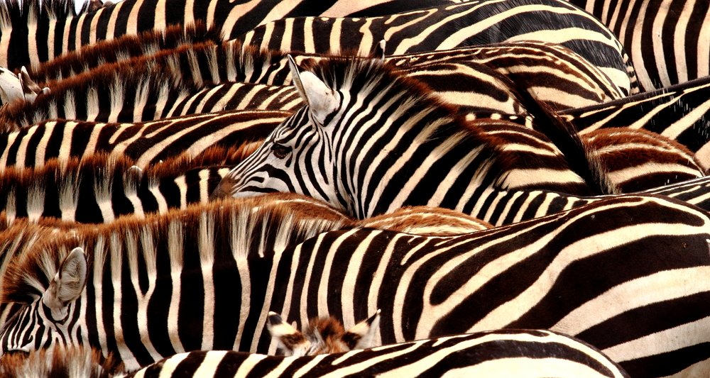 Photograph by THEODORE MATTAS