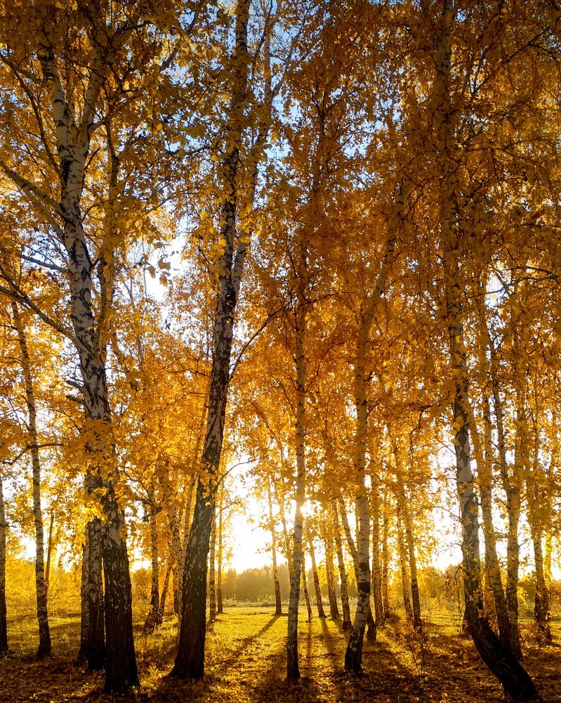 Photograph by Илья Толстоноженко