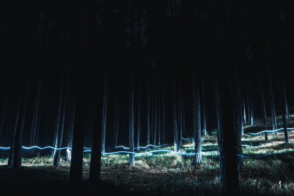 Photograph by Виктория смирнова