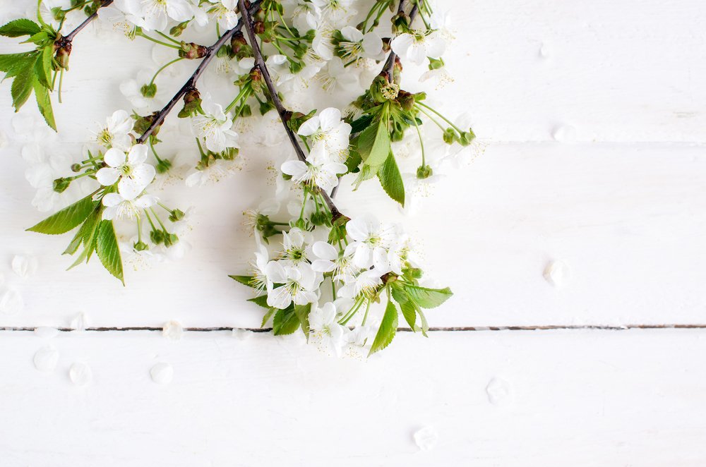 Фотография автора Майя Афзаал