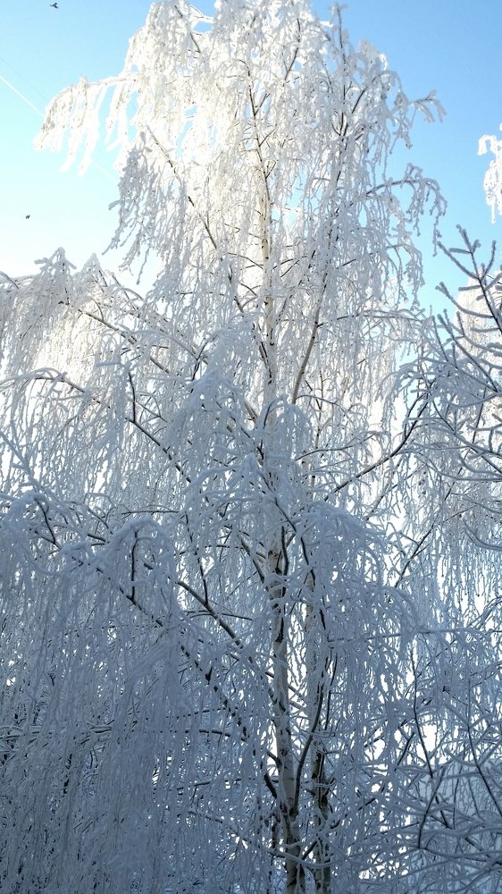 Photograph by Борис Каширин