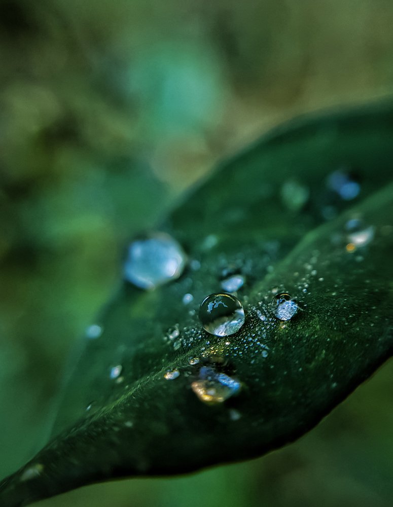 Photograph by Ольга Посадская