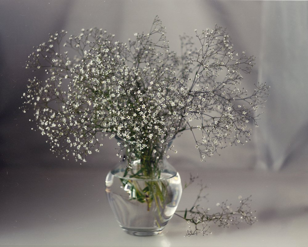 Photograph by Наталья Кабачек