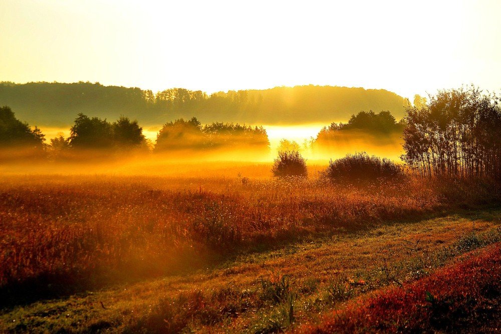 Есенинские места.