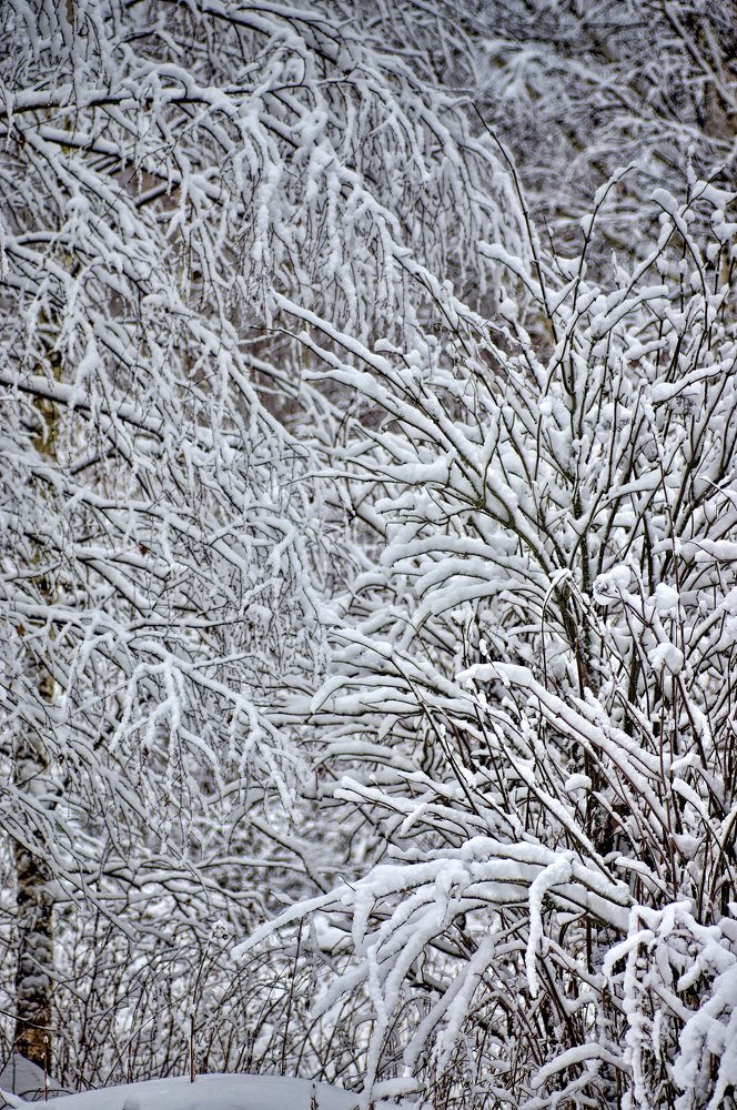 Снежная паутина