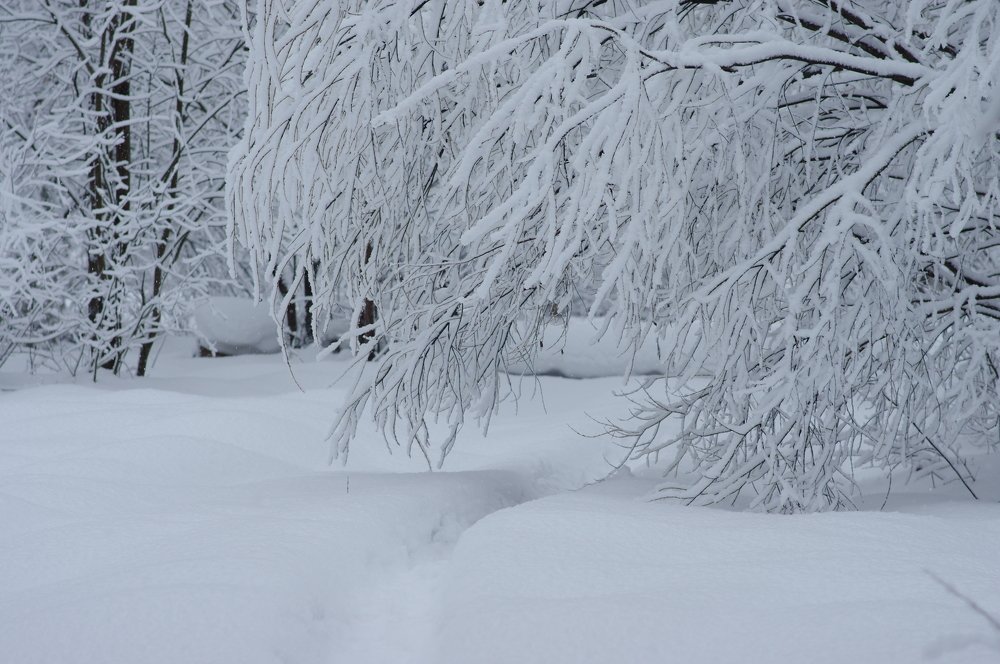 Photograph by Наталья Кащеева