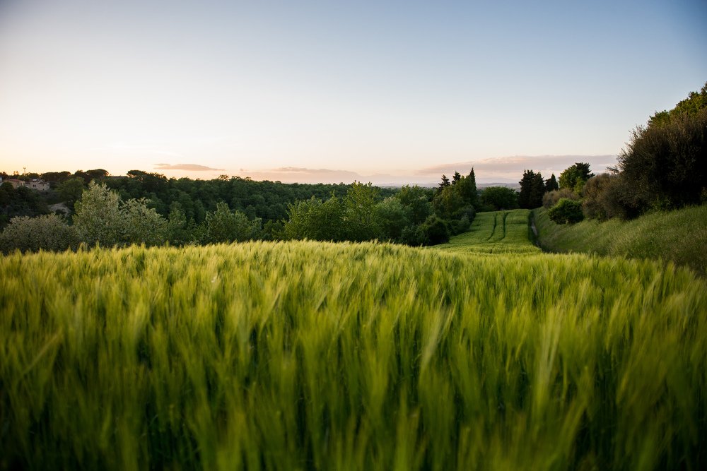 Photograph by Анна Юлина