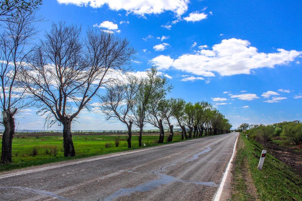 Photograph by Маргарита Федурина