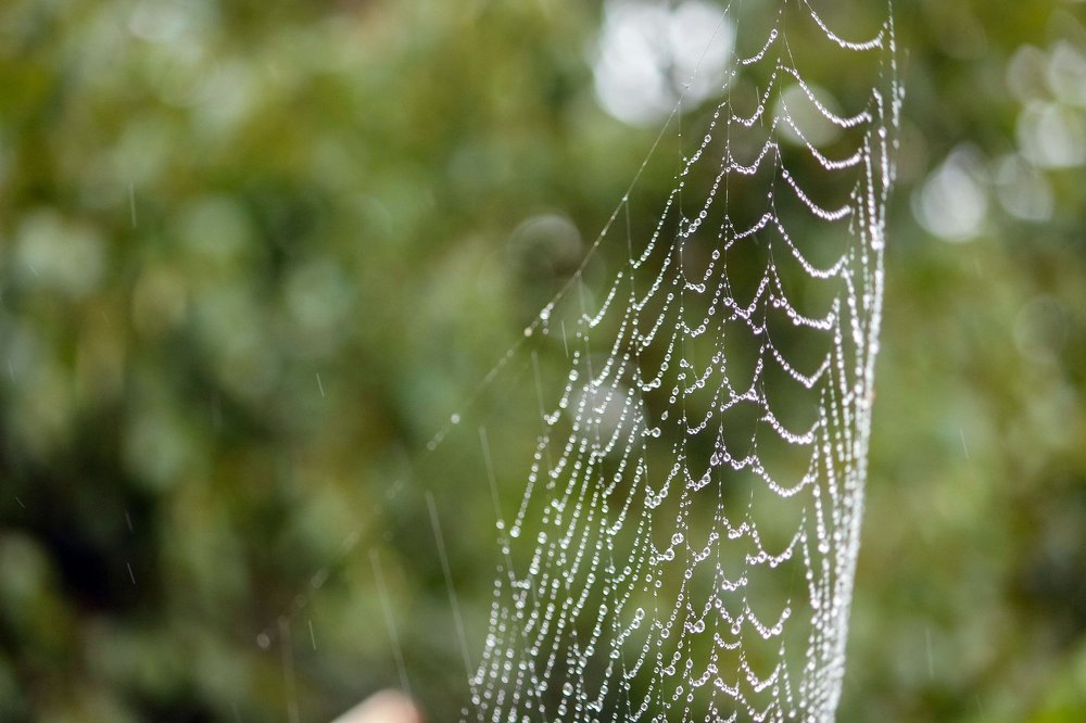 Photograph by Маргарита Федурина