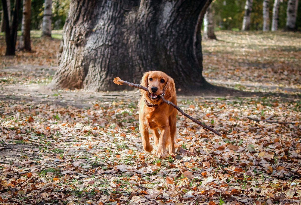 Photograph by Маргарита Федурина