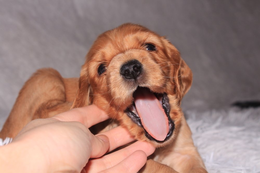 Photograph by Маргарита Федурина