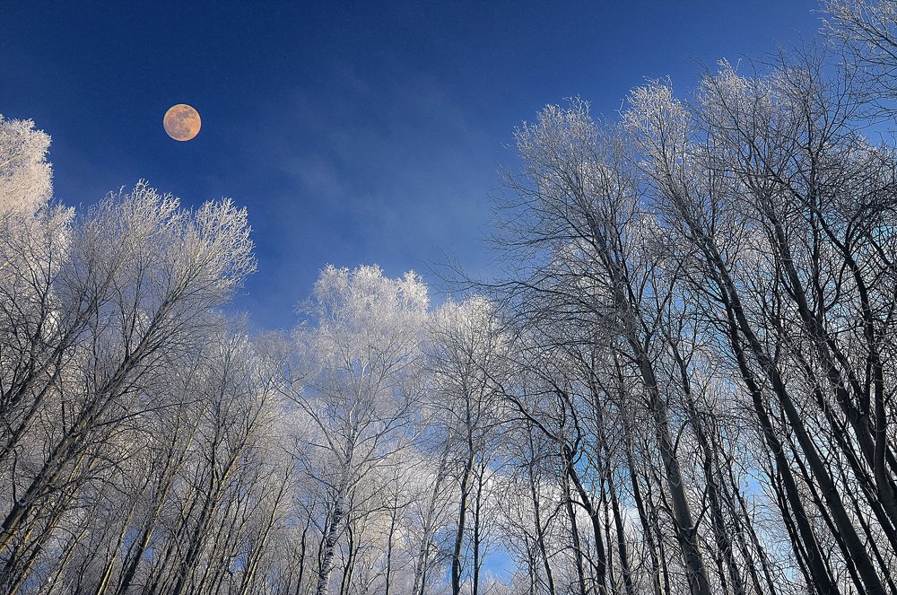 Февральский полдень