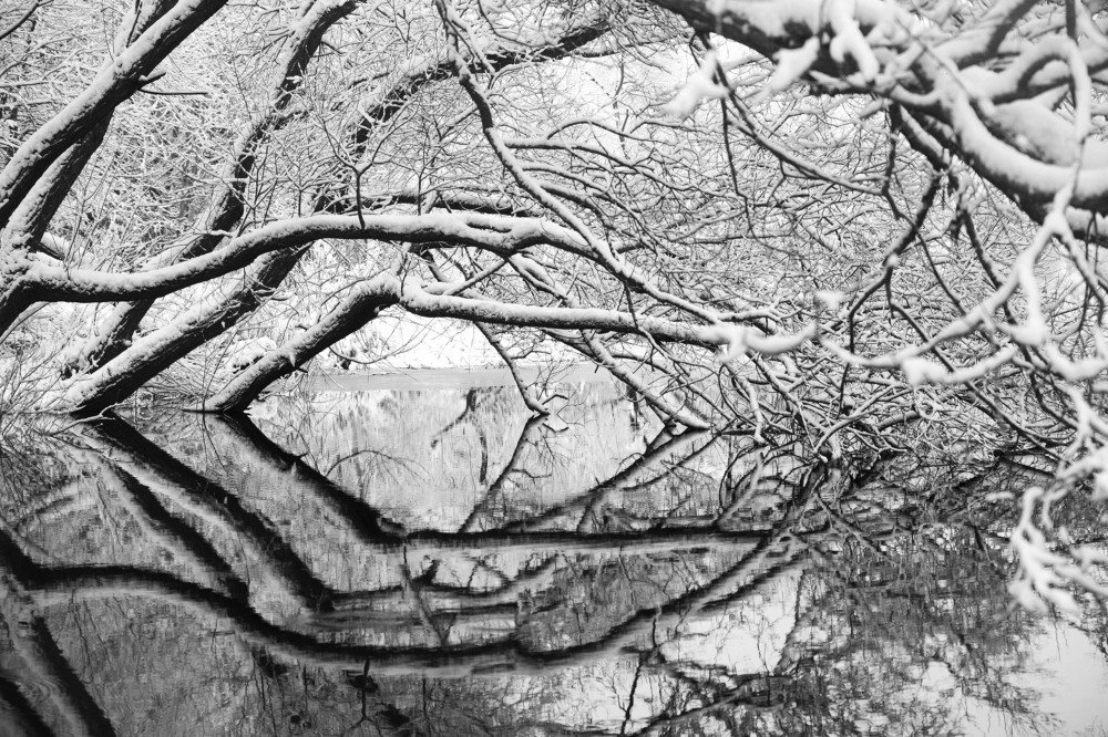 Photograph by Павел