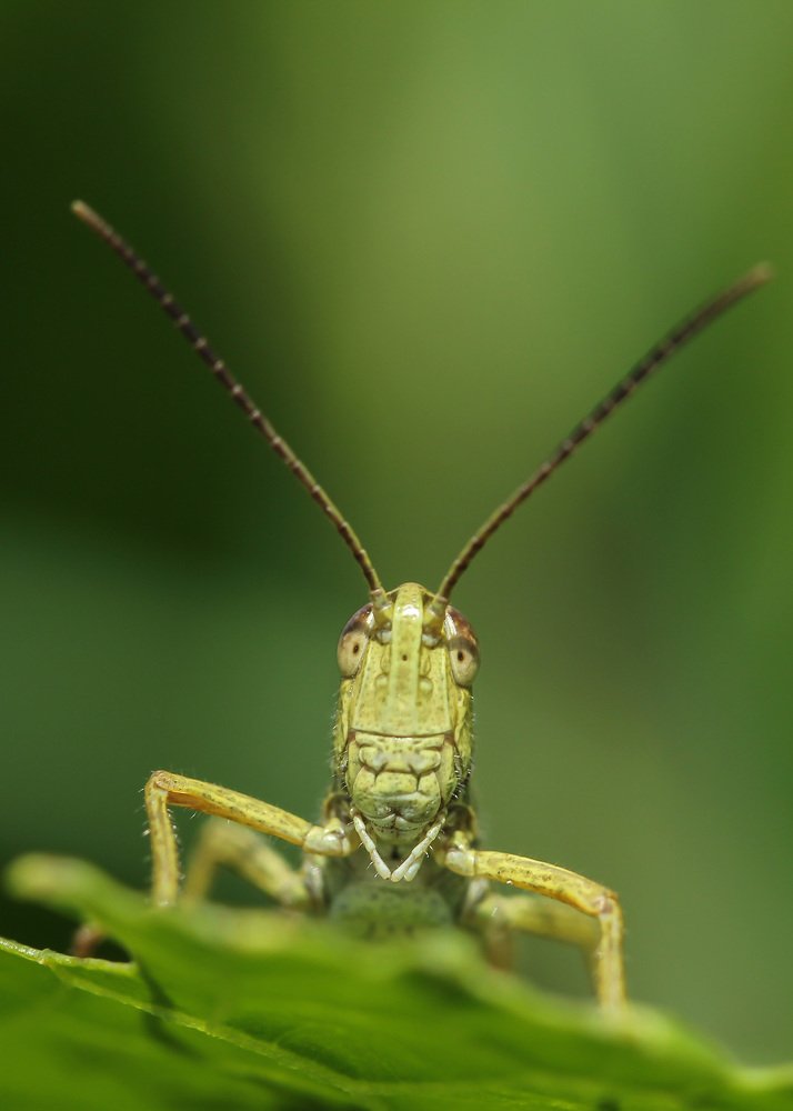 Photograph by Наталья Гайдукевич