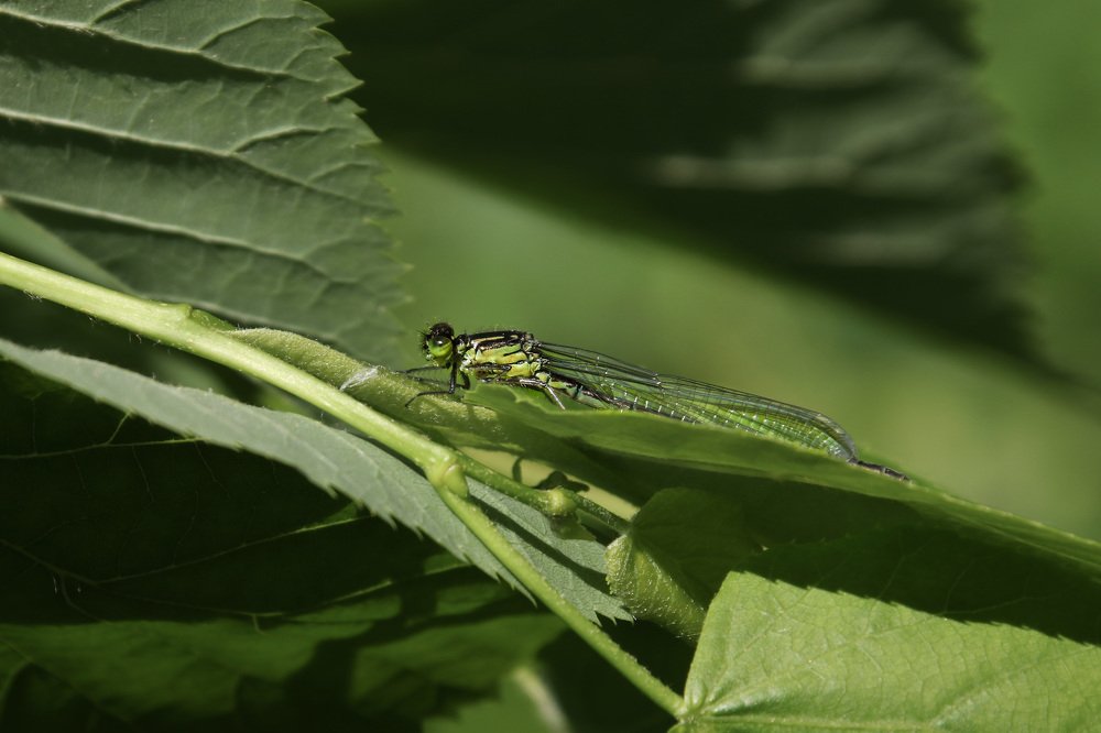 Photograph by Наталья Гайдукевич