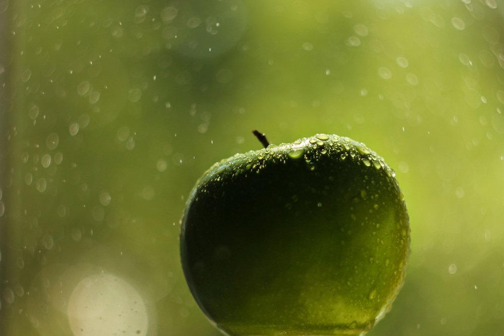 Photograph by Наталья Гайдукевич