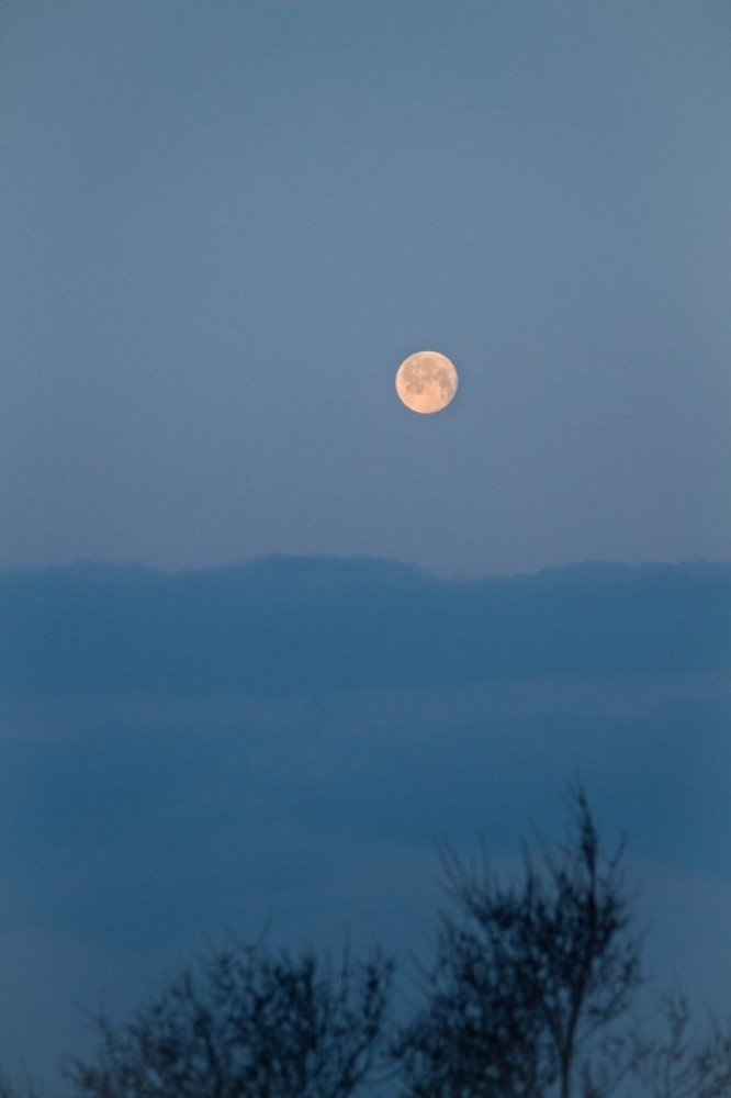 Photograph by Маргарита Федурина