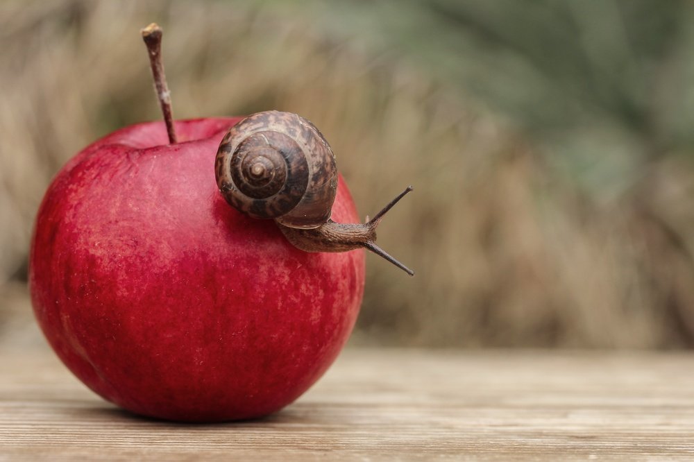 Photograph by Наталья Гайдукевич