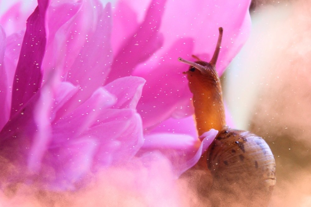 Photograph by Anzhelika Skoropostizhnaya