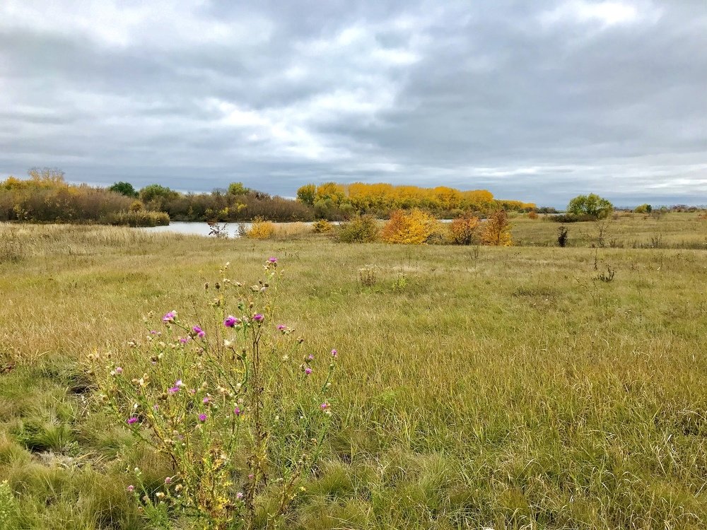 Photograph by Валентина Широбокова