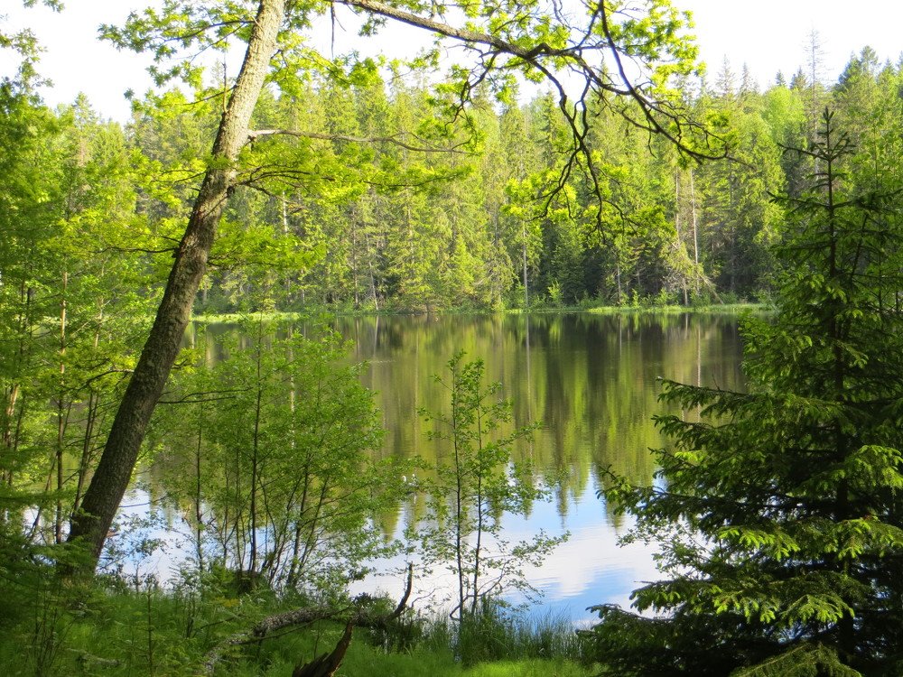 Photograph by Галина