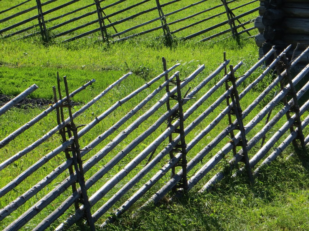 Photograph by Галина