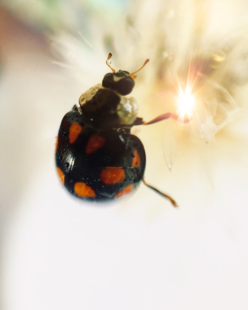 Photograph by Светлана Дмитриева