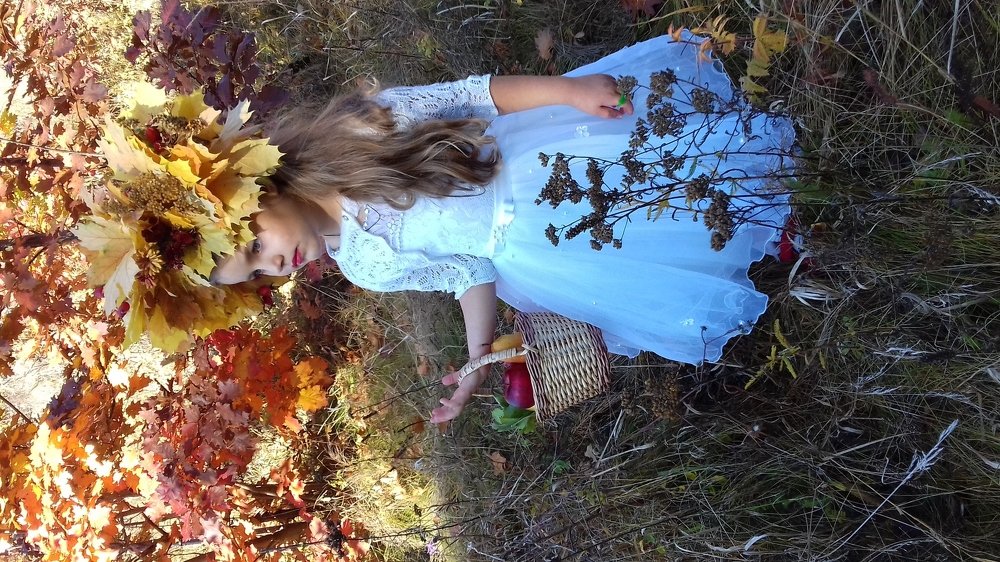 Photo #3738319