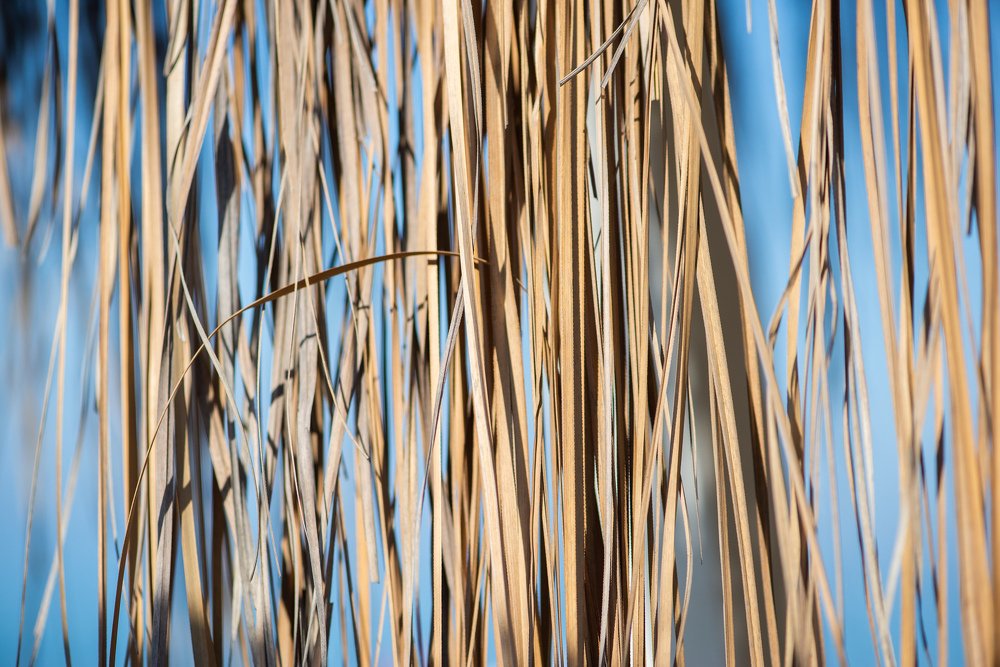 Photograph by Анна Еремеенкова