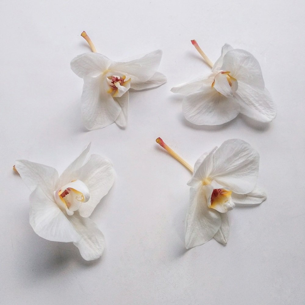 Photograph by Юлія Доманська