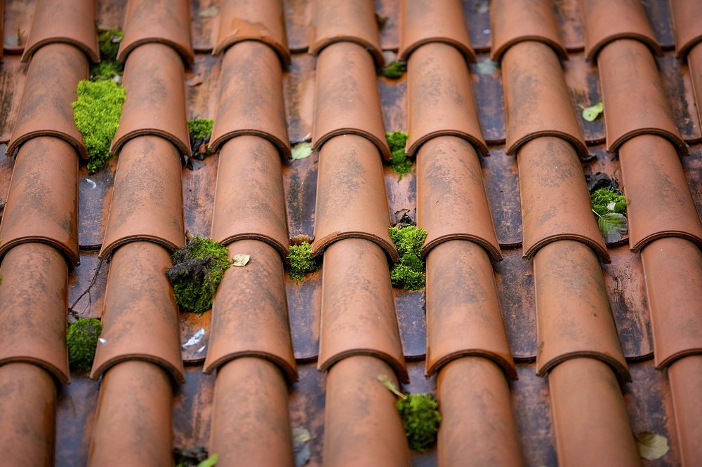 Photograph by Наталья Шалкевич