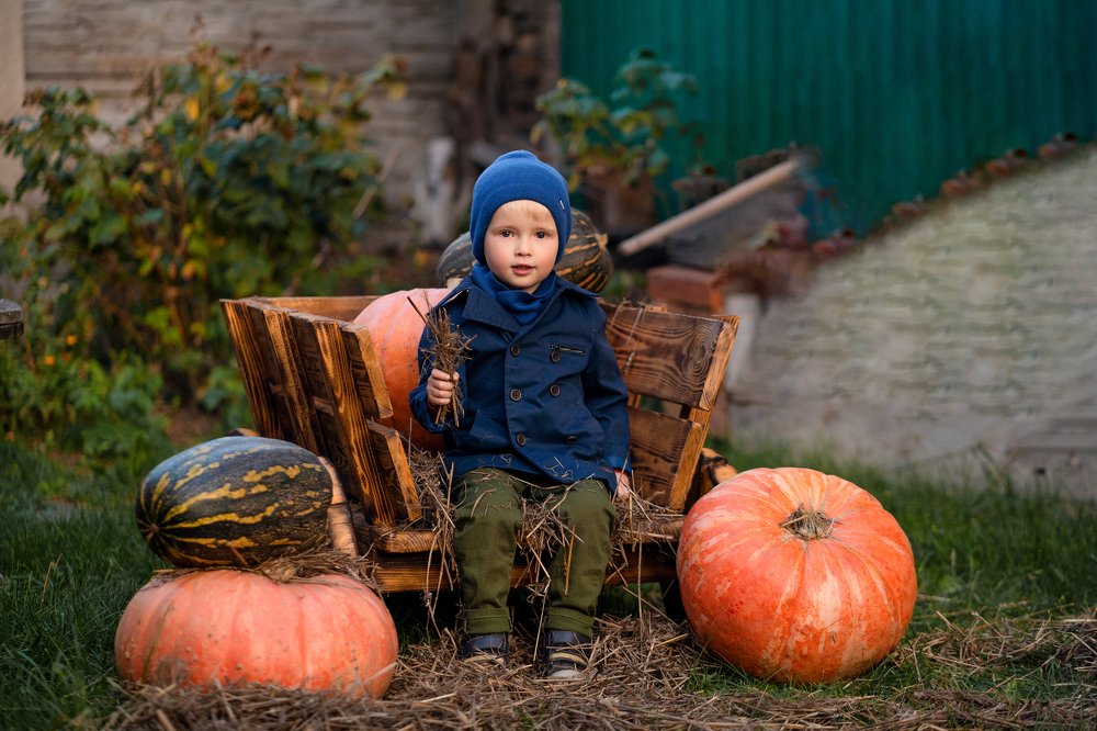 Photograph by Анна Орловская