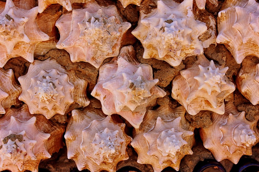 Photograph by Наталья Шалкевич