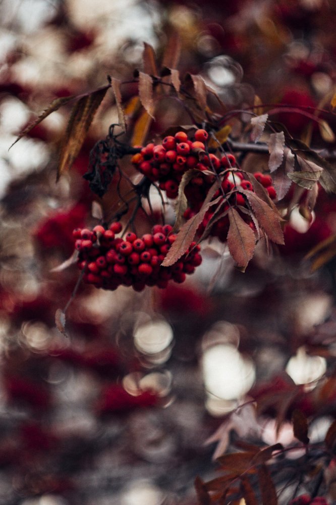 Photograph by Evgeniya Gribova