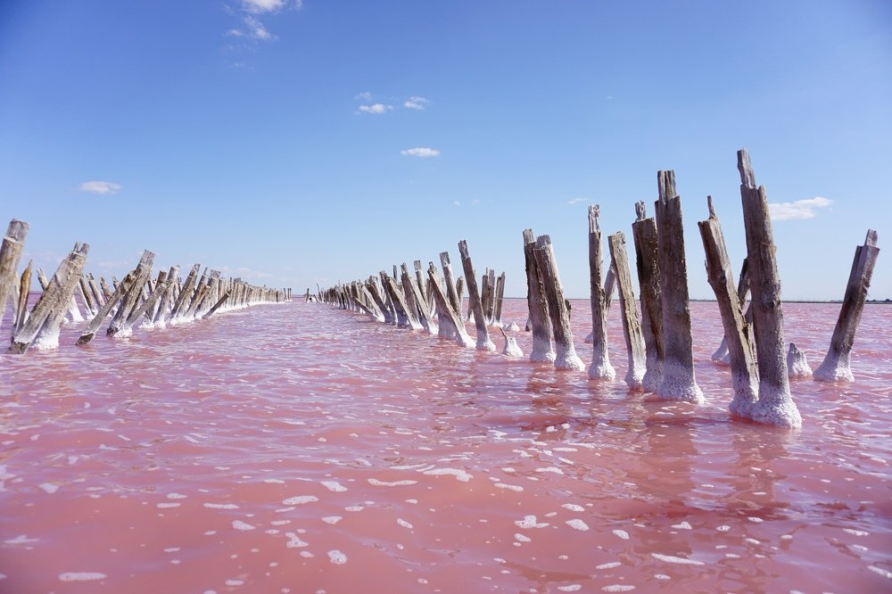 Photograph by Алеся Писнова