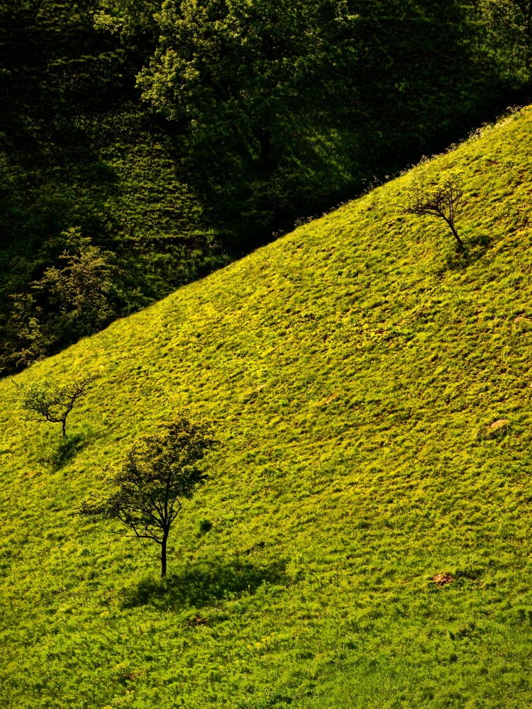 Photograph by Dusan Srbljin