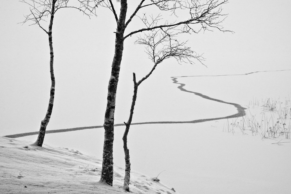 Фотография автора Евгений Корниенко