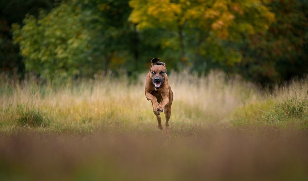 Photograph by Svetlana  Palaychuk