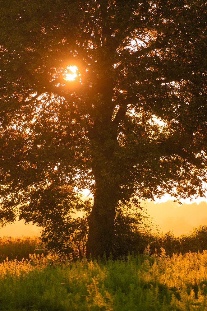 Photograph by Егор Говсь