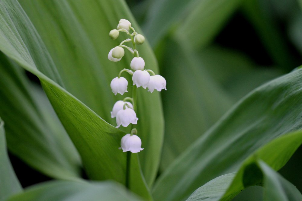 Photograph by Анна