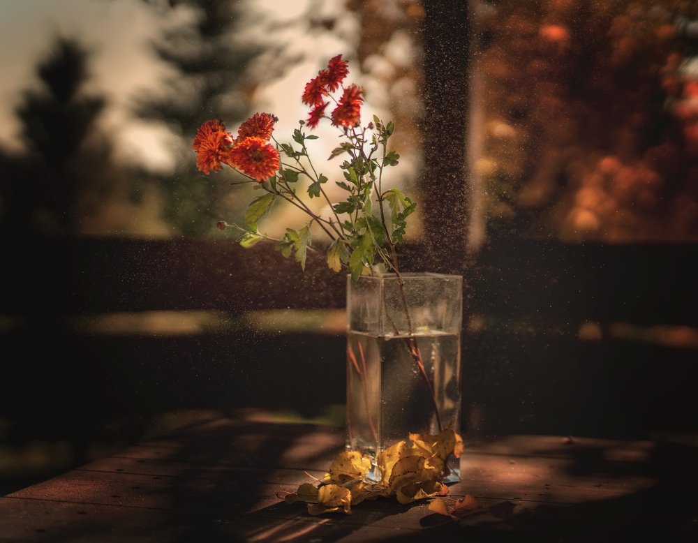 Немного солнца...