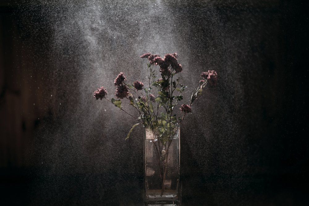 Немного солнца..