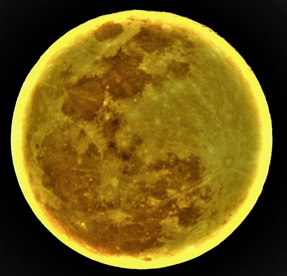 Photograph by Rajeev Sinha