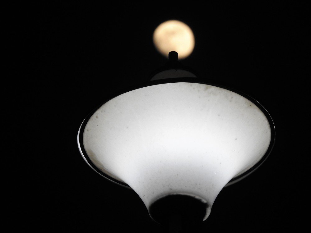 Photograph by Rajeev Sinha