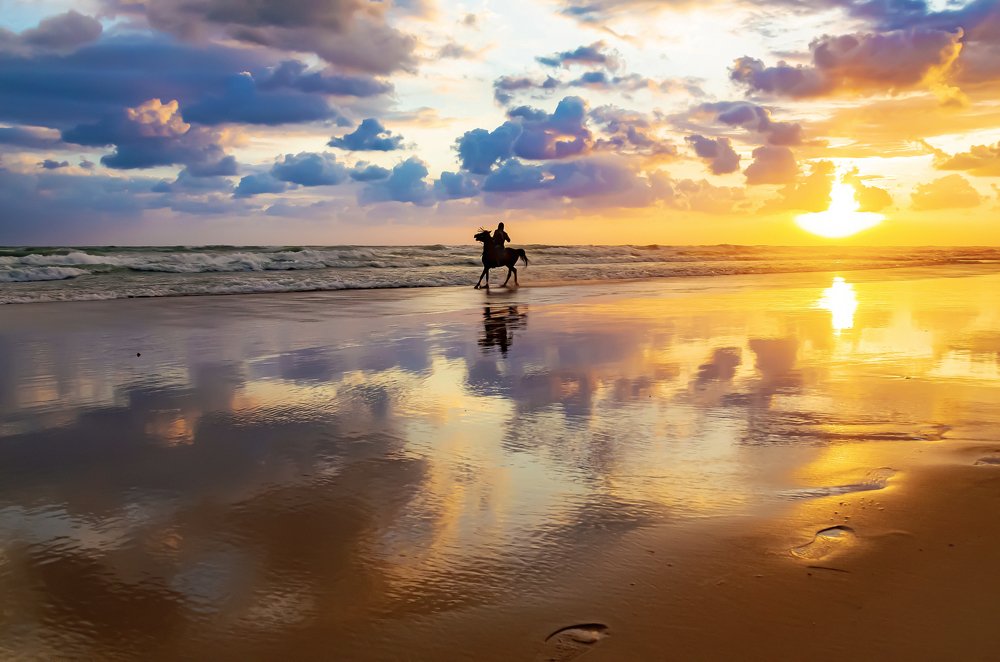 Photograph by Fathi Ibrahim