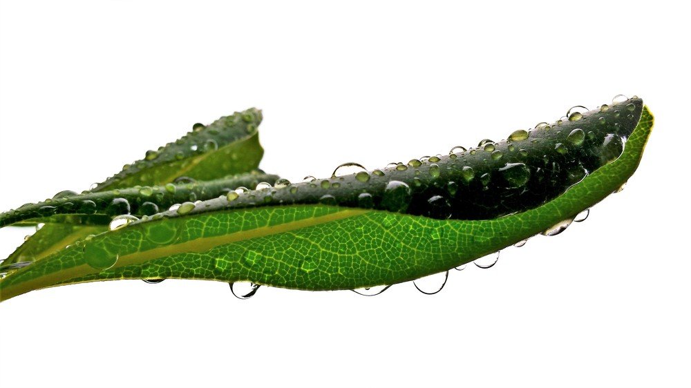 Photograph by bostjan imperl