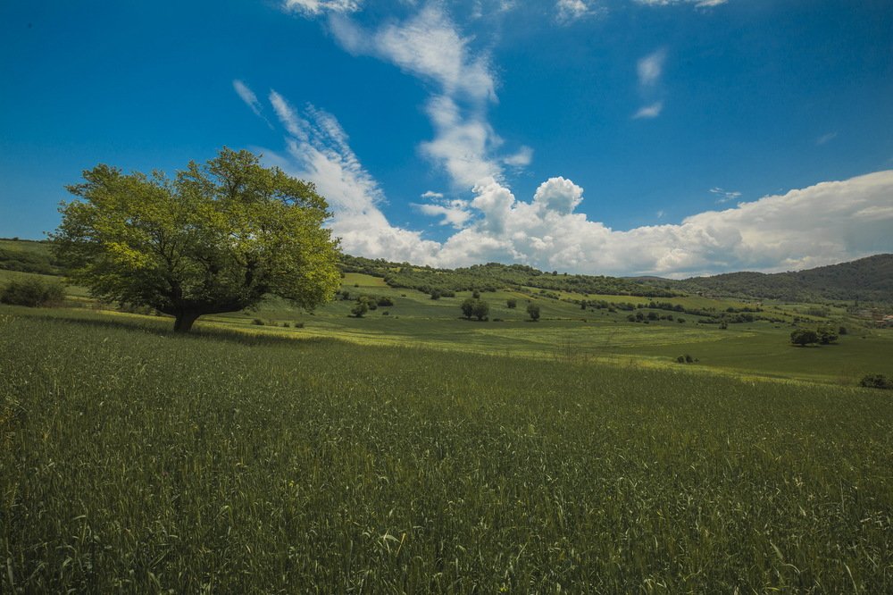 Photograph by ali kaviyani